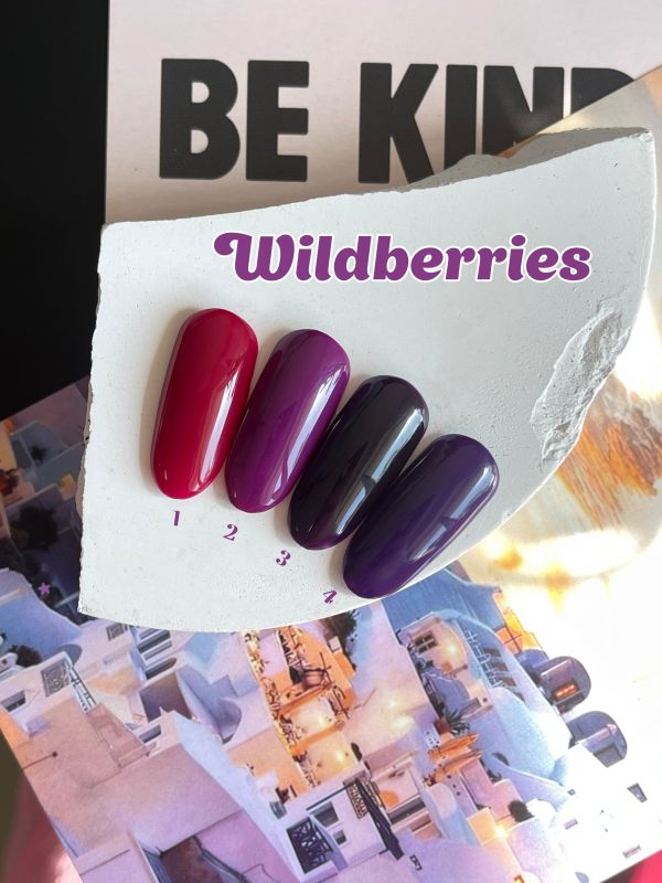 I Envy You, Гель-лак Wildberries №04, 10мл
